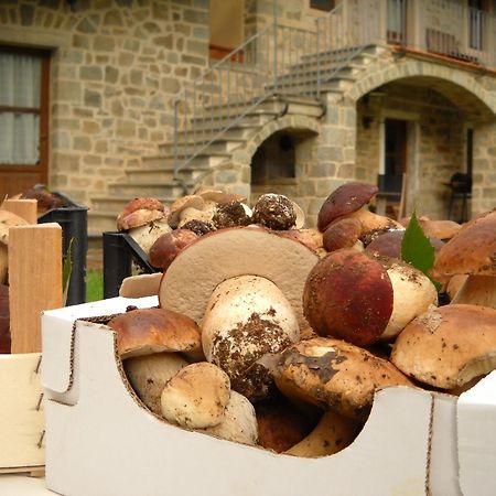 فيلا La Casa Del Sarto - Federicofarm بونتريمولي المظهر الخارجي الصورة