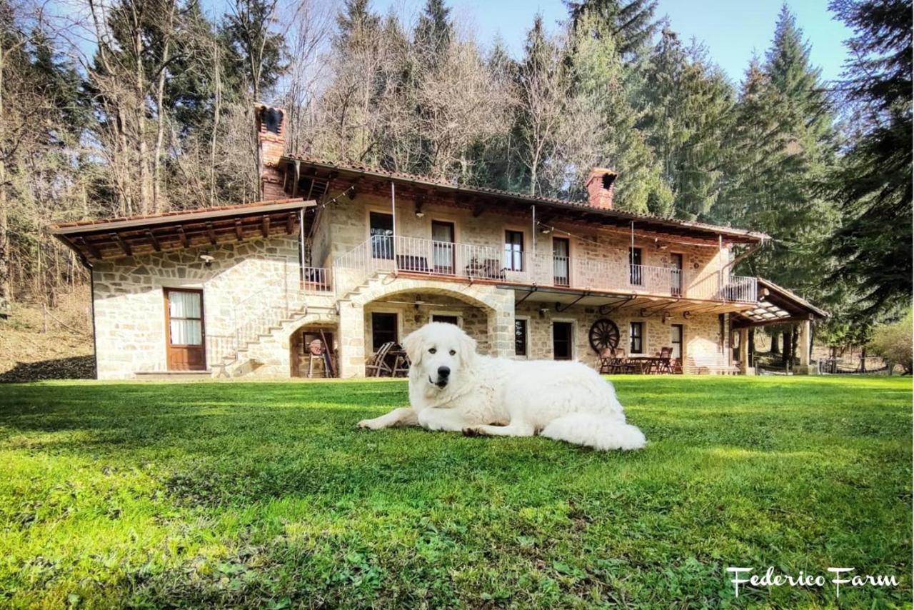 فيلا La Casa Del Sarto - Federicofarm بونتريمولي المظهر الخارجي الصورة