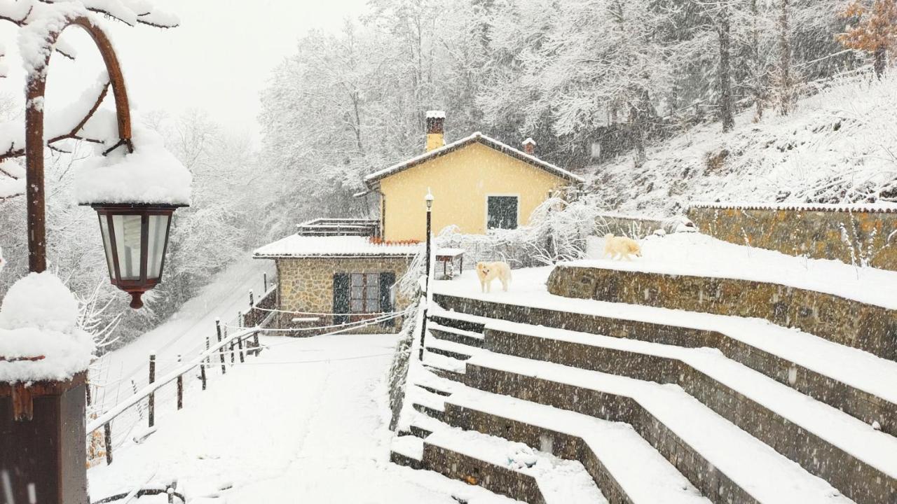 فيلا La Casa Del Sarto - Federicofarm بونتريمولي الغرفة الصورة